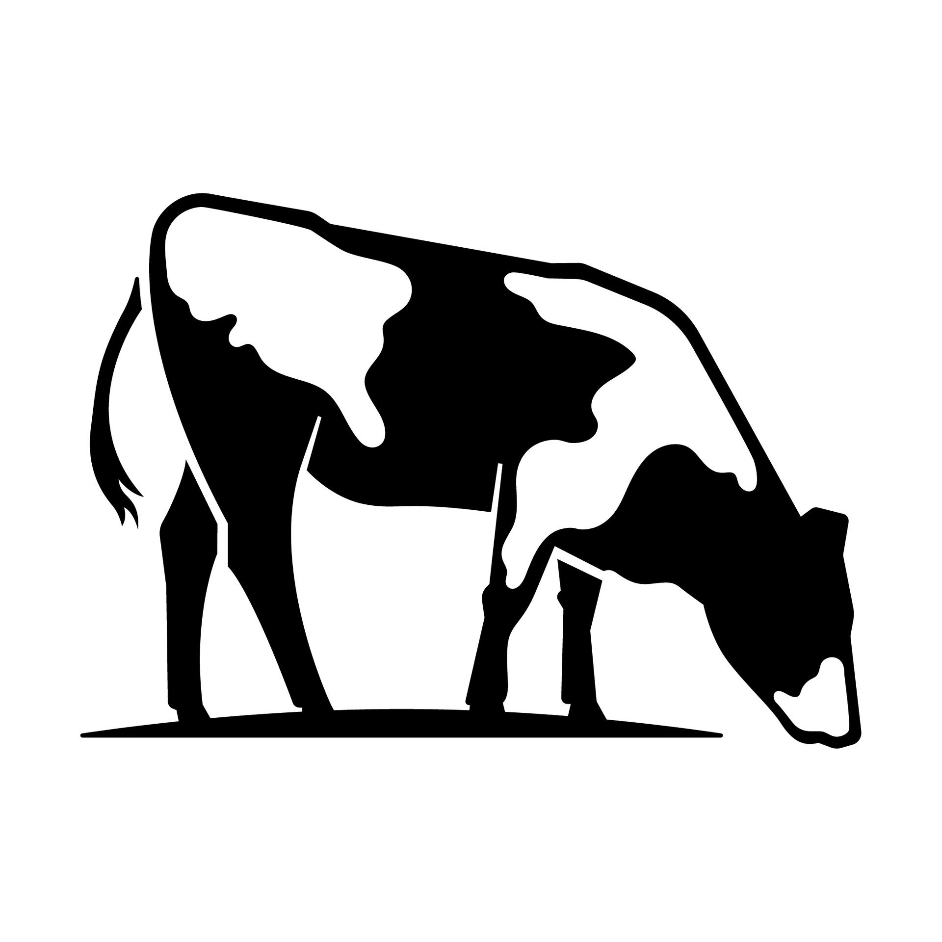 Feedlot cooperativo